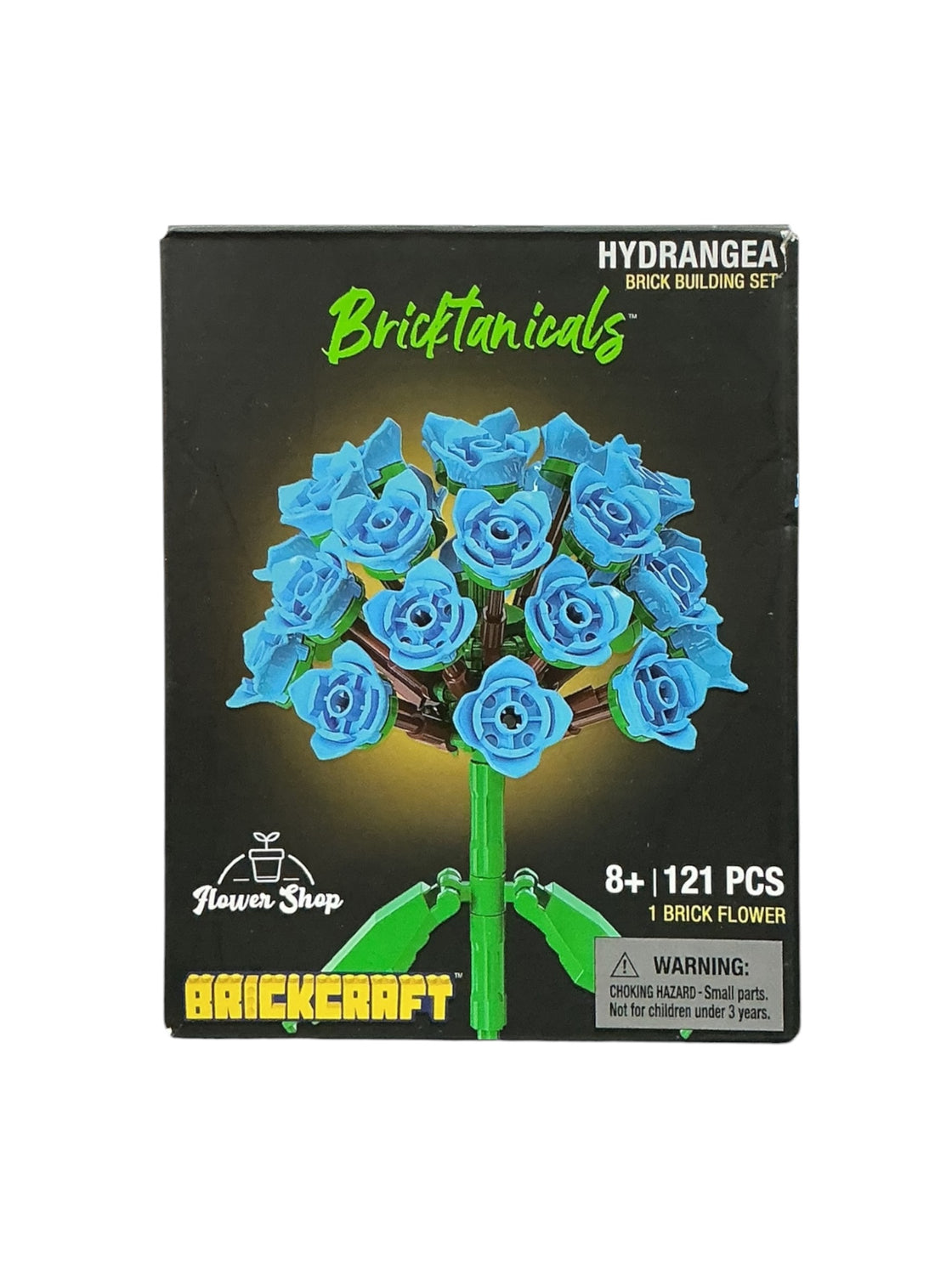 Set de construcción (BRICKCRAFT)