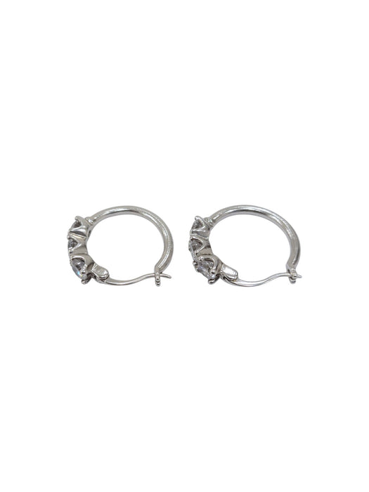 Aretes de plata  (925)
