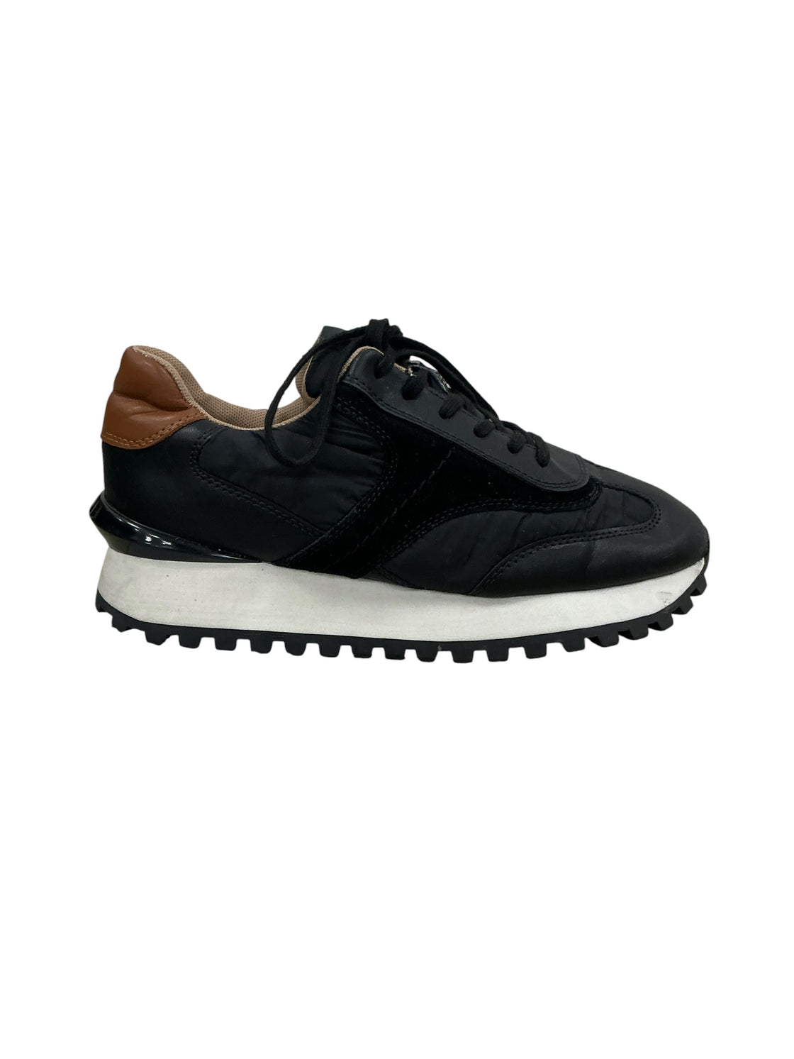 Tenis