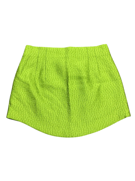 Falda L (ZARA)