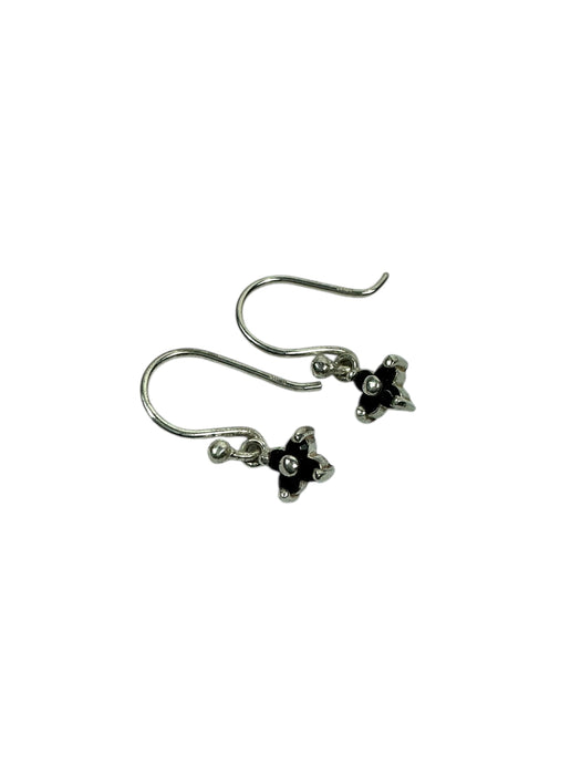 Aretes de plata