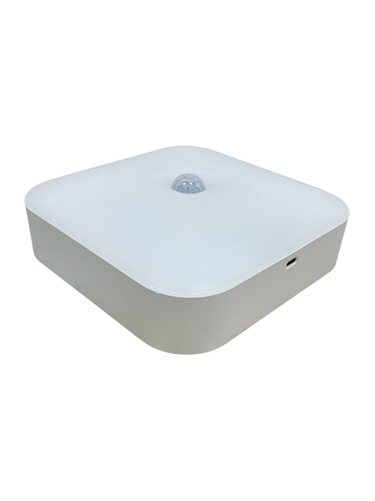 Luz Led sensorial (WHITEPOPLAR)