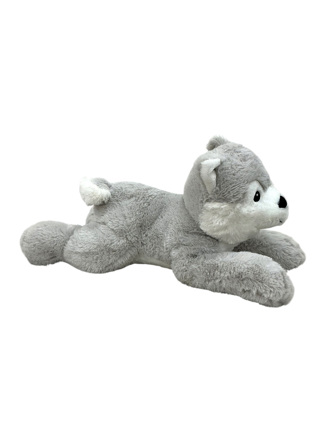 Perro