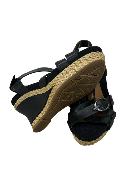Zapato (CANTHICS)