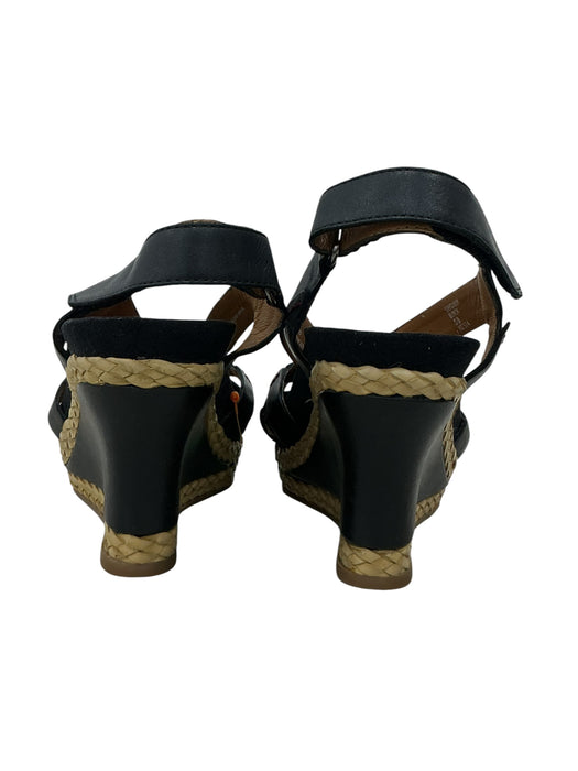 Zapato (CANTHICS)