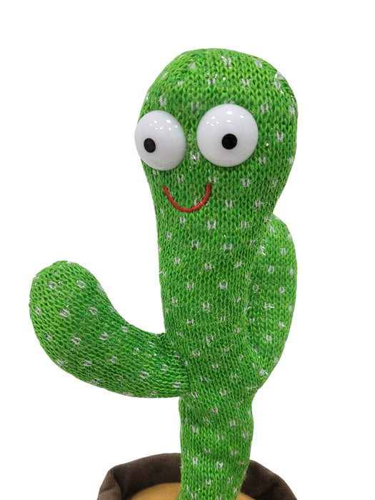 Cactus interactivo