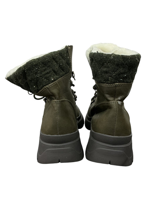 Zapato 8.5 (MAURICES)
