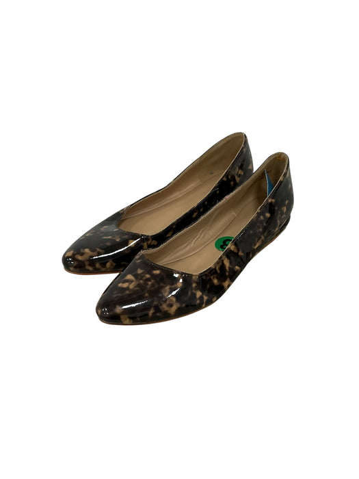 Zapato 8 (CUSHIONAIRE)