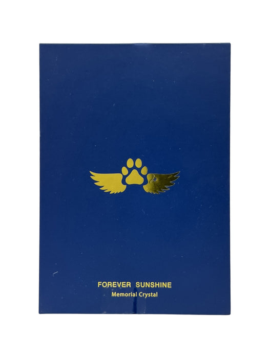 Colgante de Cristal (FOREVER SUNSHINE)