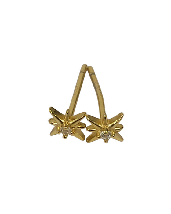 Aretes de plata (925)