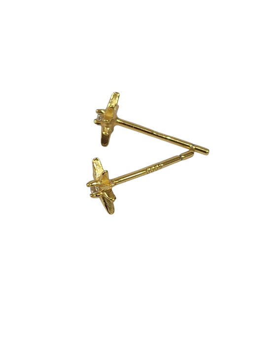 Aretes de plata (925)