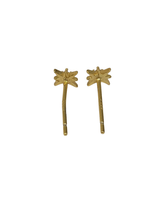 Aretes de plata (925)