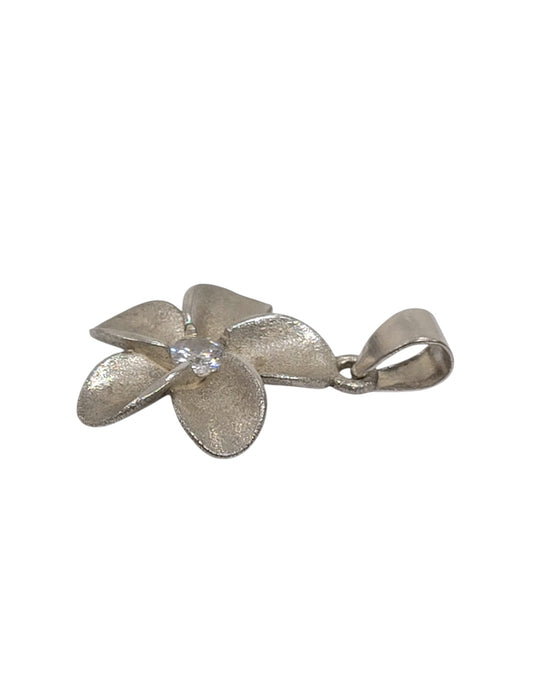 Dije de plata  (925)