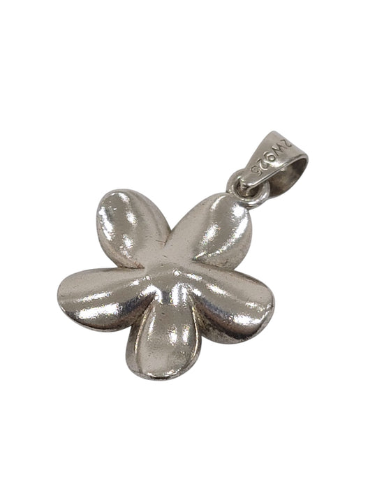 Dije de plata  (925)