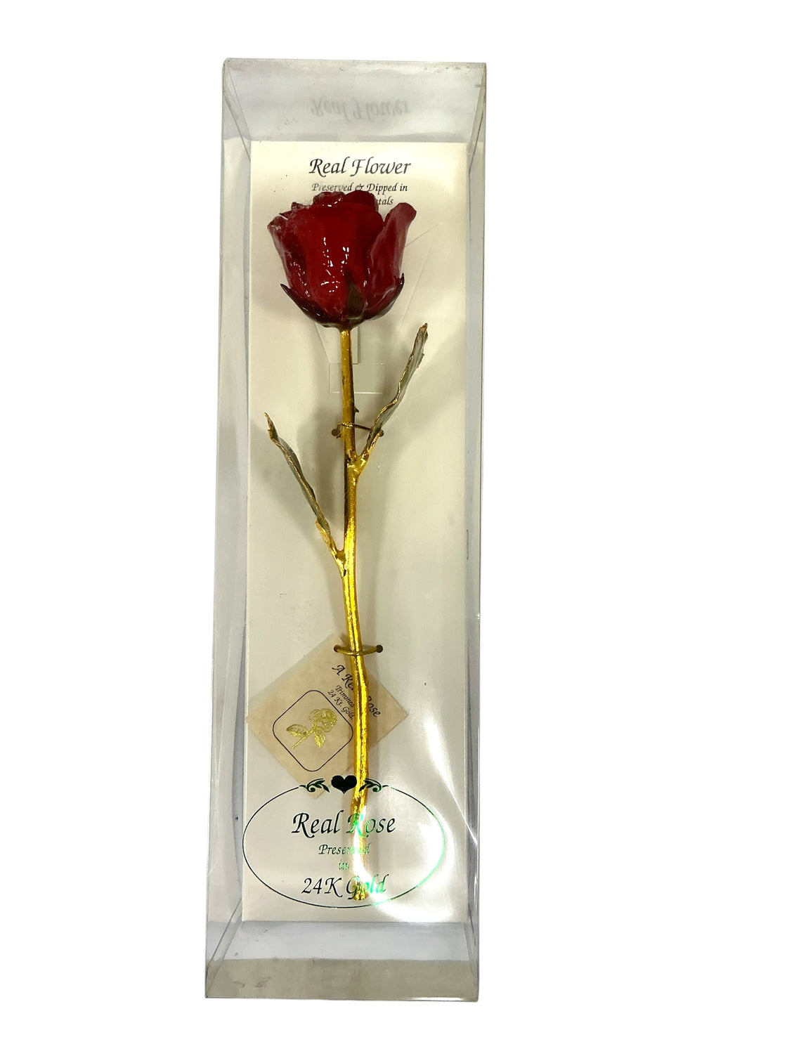 Rosa Natural Preservada (THE FOREVER ROSE)