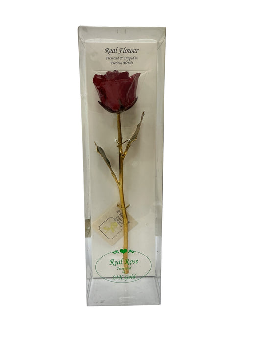 Rosa Natural Preservada (THE FOREVER ROSE)