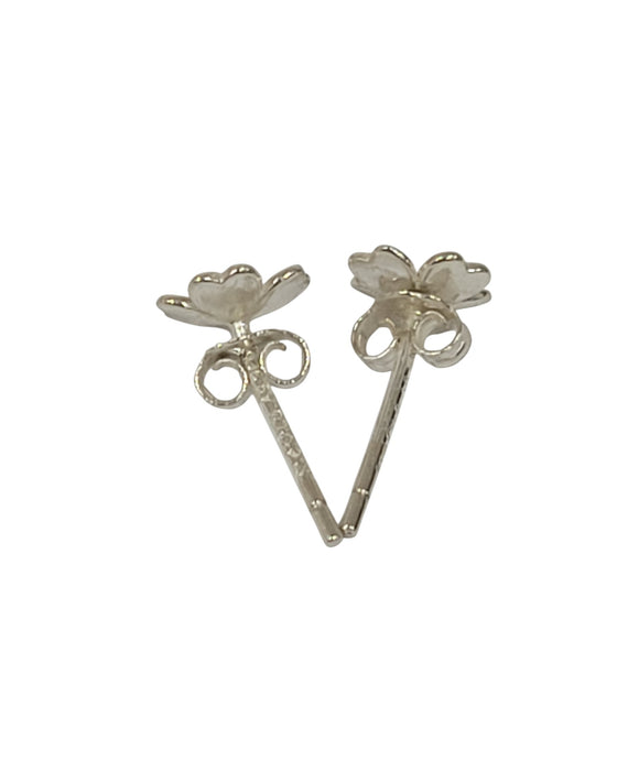 Aretes de plata