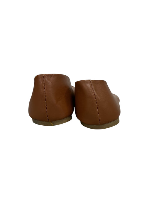 Zapato 8.5 (TIME AND TRU)