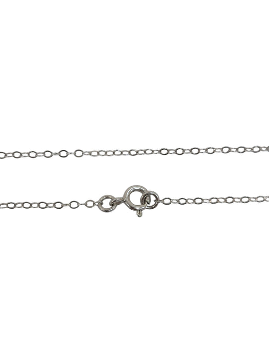Cadena de plata (925)