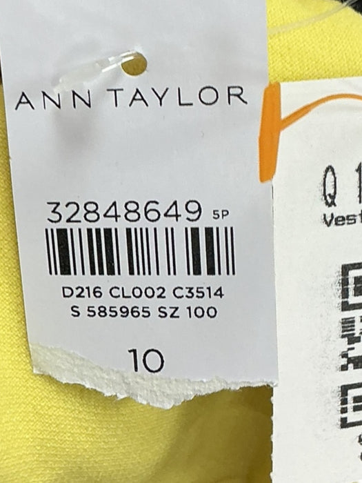 Vestido 10 (ANN TAYLOR)