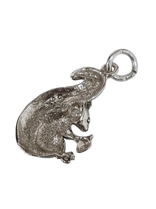 Dije de plata (925)