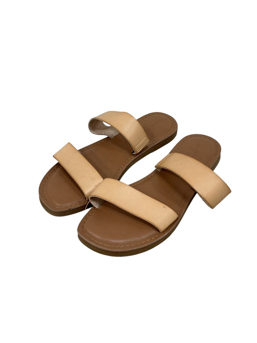 Sandalia 6.5 (UNIVERSAL THREAD)