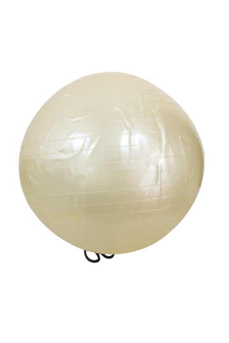 Pelota de ejercicio (GOLD´S GYM)