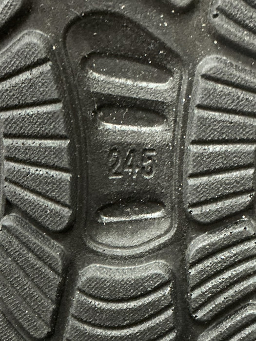 Bota