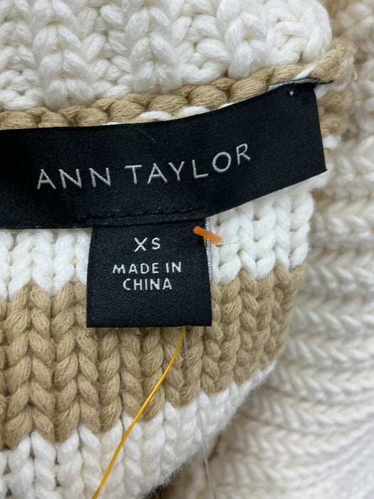 Suéter XS (ANN TAYLOR)