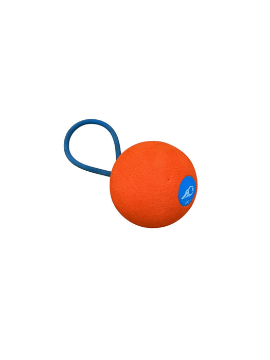 Hydro Lacrosse (COOP)
