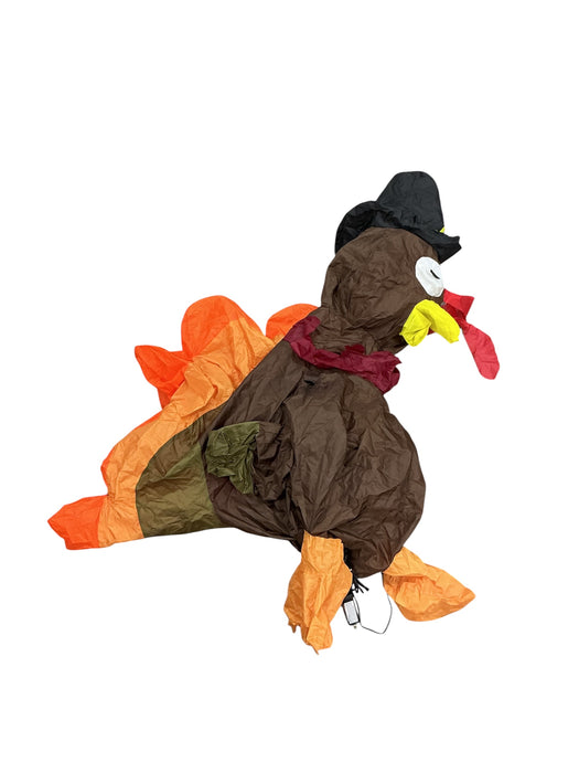 Pavo inflable