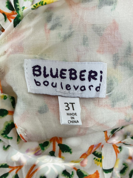 Vestidos para niña 3T (BLUEBERI BOULEVARD)
