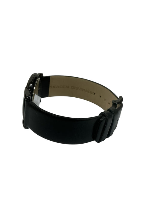 Reloj Análogo (SKAGEN DENMARK)