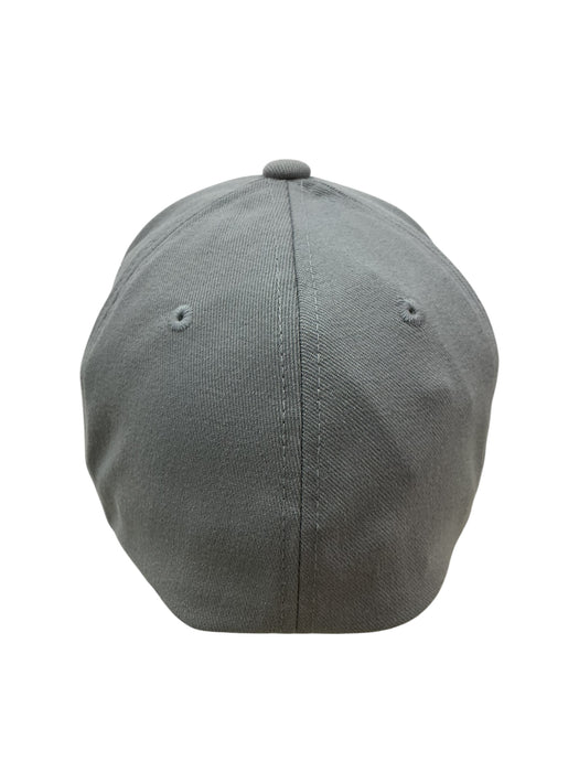 Gorra (FLEXFLIT)