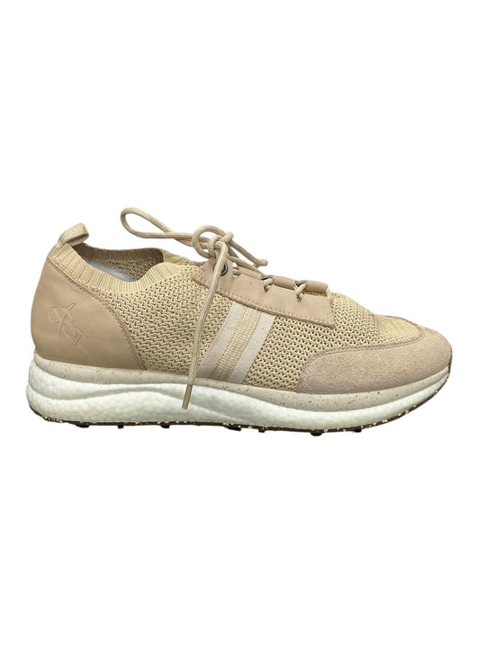Tenis 11