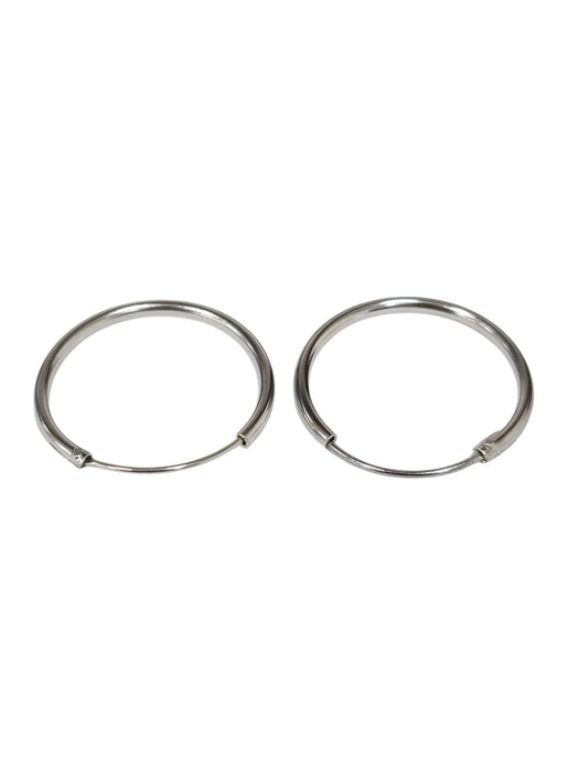 Aretes de plata