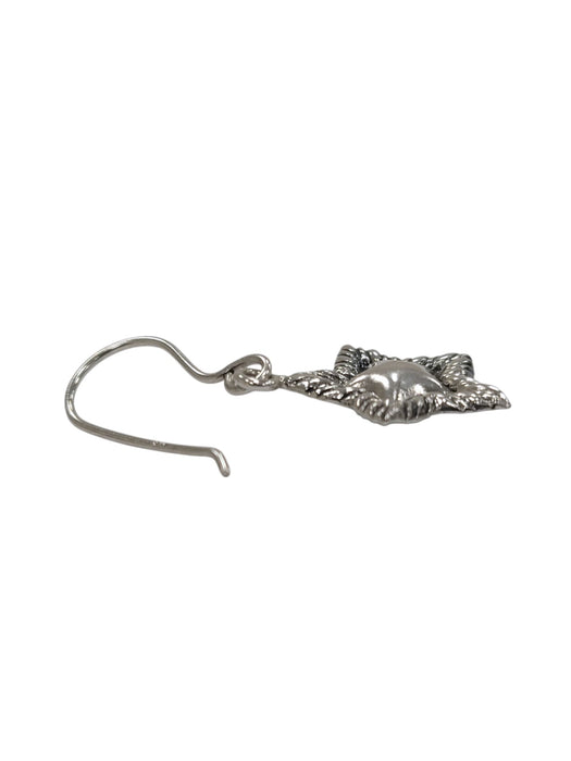 Aretes de plata