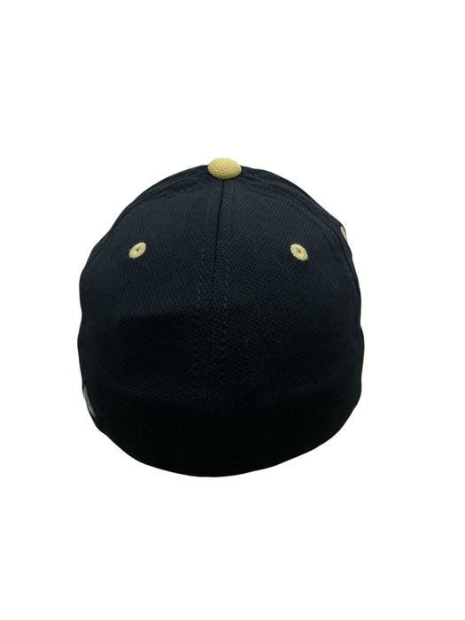 Gorra (FLEXFIT)