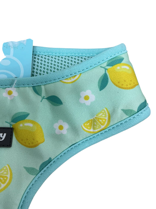 Arnés para perro M (BLUEBERRY)