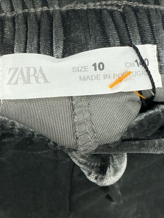 Pants 10 (ZARA)