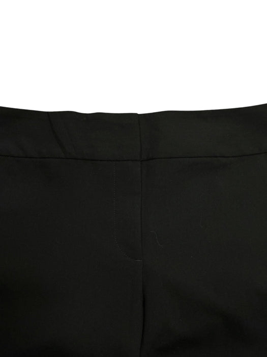 Pantalón 12 (ANN TAYLOR)