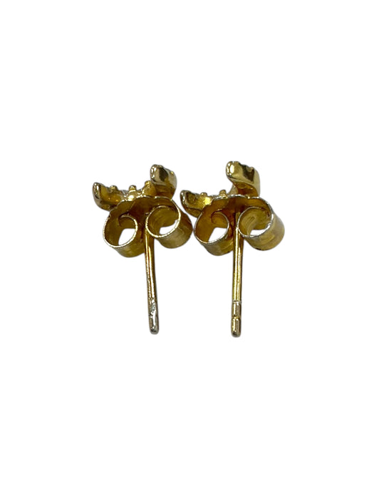 Aretes de plata (925)