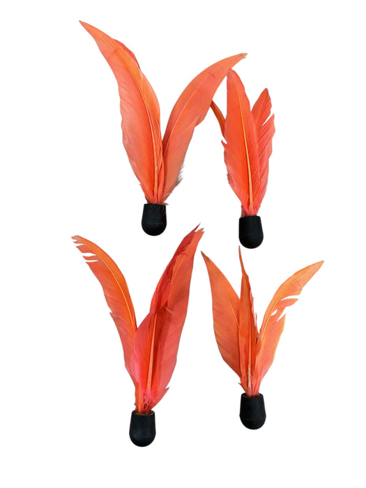 Set de raquetas (VIAHART)