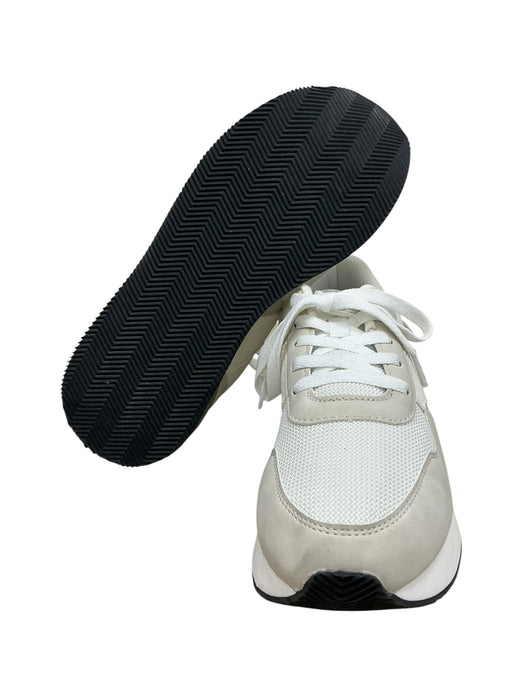 Tenis 8 (DREAM PARIS)
