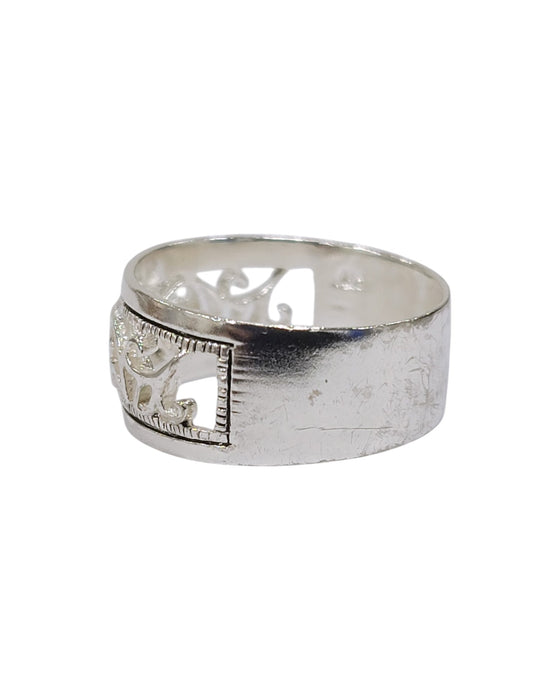Anillo de plata (925)