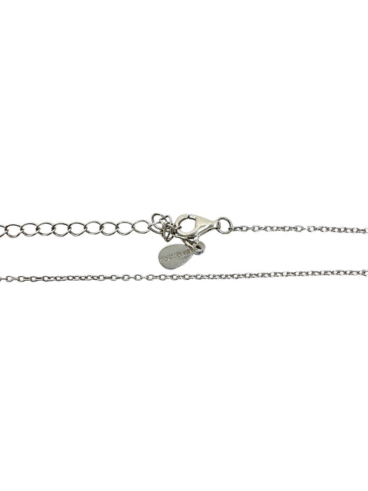 Cadena de plata (925)