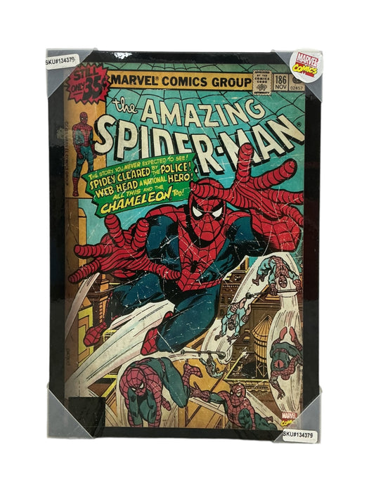 Cuadro de Spiderma (MARVEL)