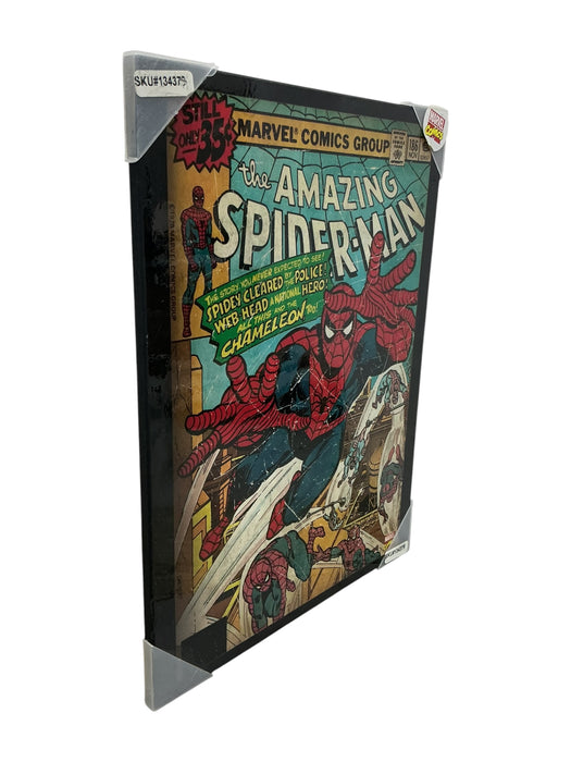 Cuadro de Spiderma (MARVEL)