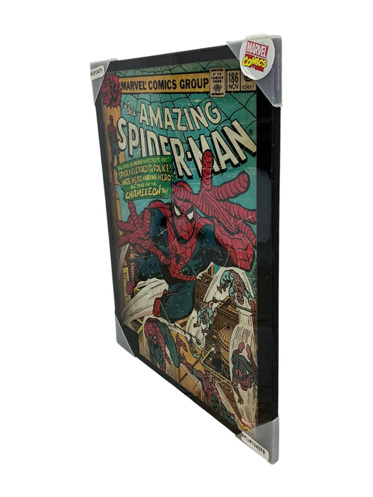 Cuadro de Spiderma (MARVEL)