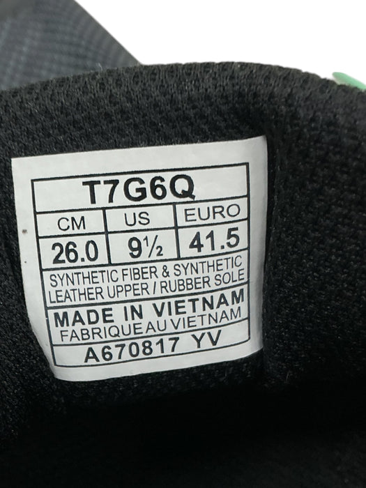 Tenis 9.5 (ASICS)